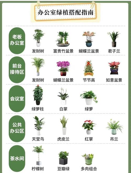 办公室绿植搭配指南 让工作空间更美好