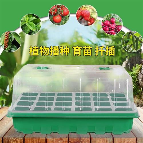 多肉绿植套装选购全指南 热门厂家、品牌推荐与精品图鉴