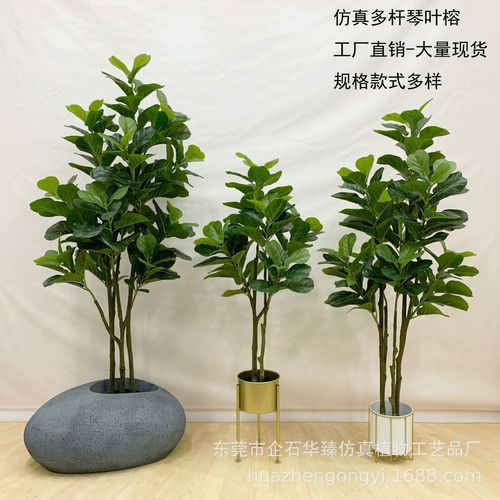 东莞工厂直销 仿真琴叶榕，打造北欧风室内绿植装饰新选择